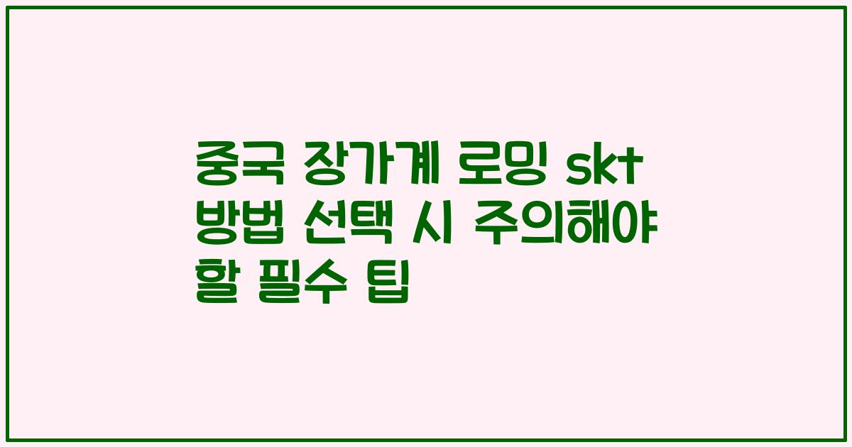 중국 장가계 로밍 skt 방법 선택 시 주의해야 할 필수 팁